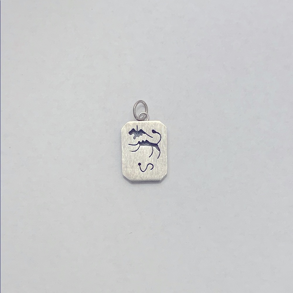 Leo Zodiac 925 sterling silver charm